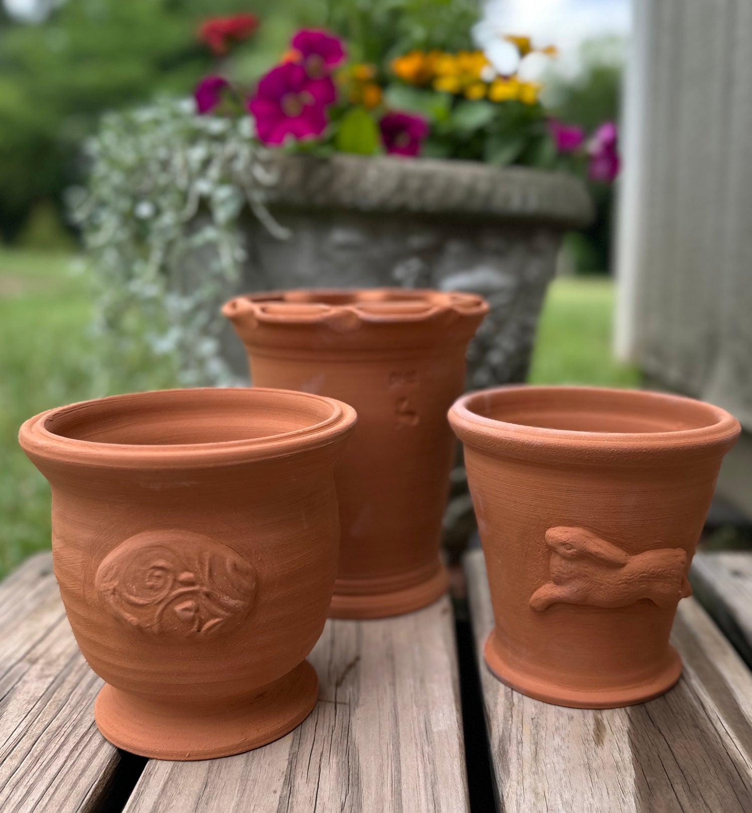 Terra Vecchia Collection