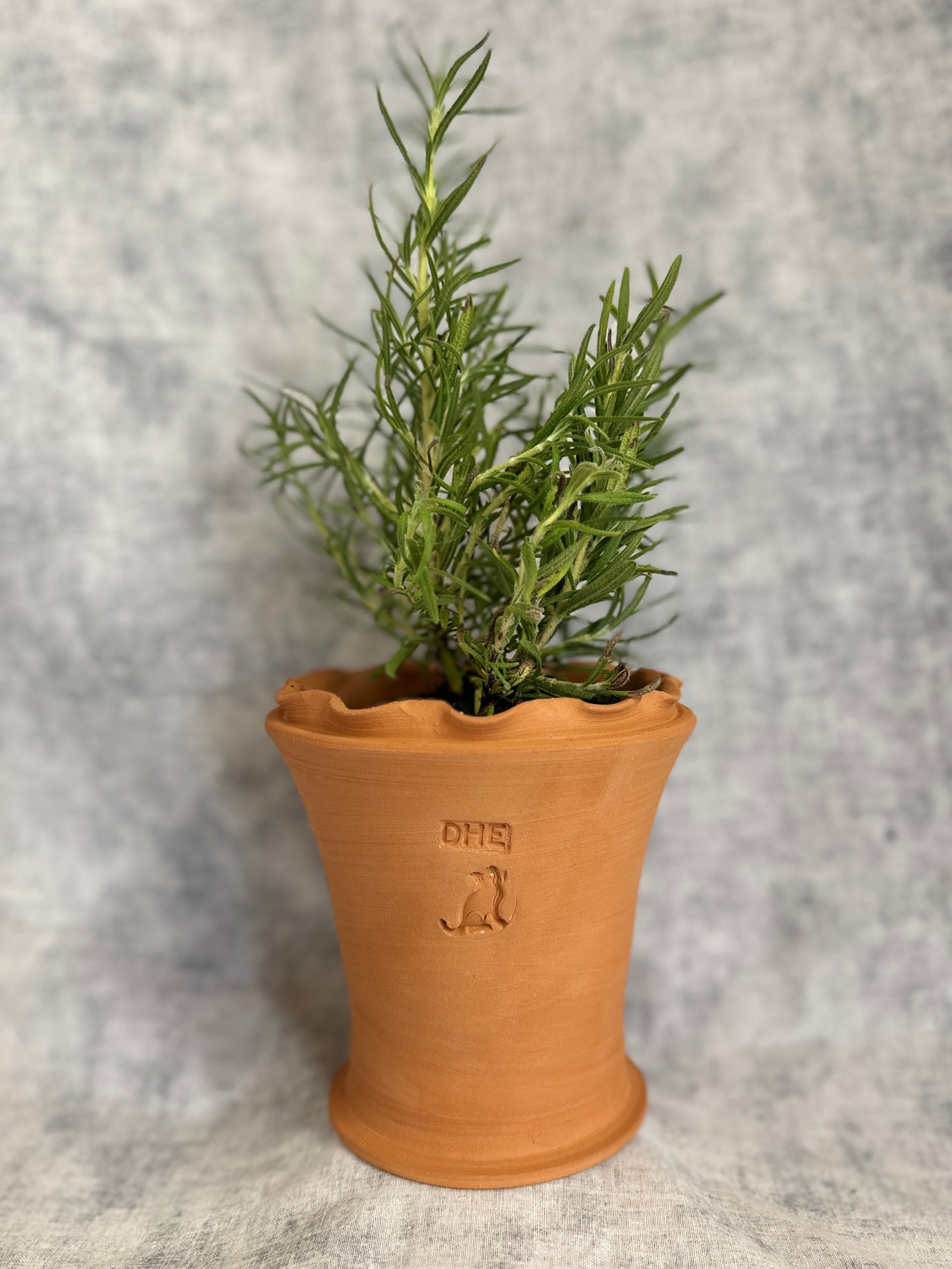 Terracotta Herb Pot